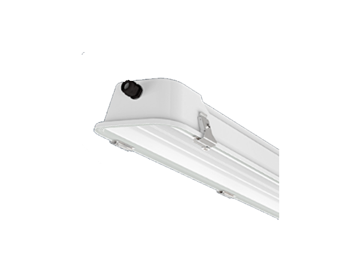 SALUKA-N-LED