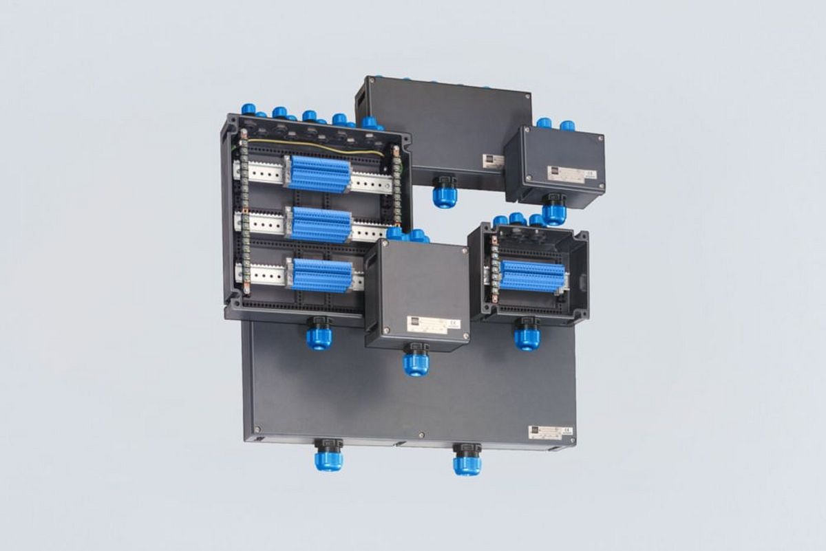 8146/2